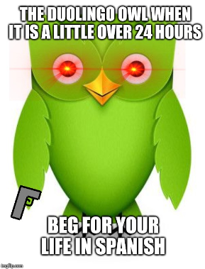 Duolingo